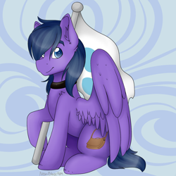 Size: 1280x1280 | Tagged: safe, artist:neonblaze909, oc, oc only, oc:feather freight, pegasus, pony, collar, flag, male, poniverse, simple background, stallion