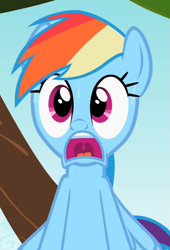 Size: 491x720 | Tagged: safe, screencap, rainbow dash, pegasus, pony, g4, may the best pet win, cropped, scared, sky, solo