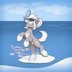Size: 2000x2000 | Tagged: safe, artist:confetticakez, oc, oc only, oc:snow shoes, fish, pony, yakutian horse, /mlp/, balancing, bipedal, chest fluff, coat markings, cute, female, fluffy, high res, ice, looking at something, mare, ocean, open mouth, pale belly, ponies balancing stuff on their nose, ponybooru import, smiling, snow, snowmare, socks (coat markings), solo, unshorn fetlocks, water