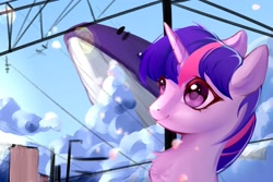 Size: 2048x1365 | Tagged: safe, artist:myriadstar3, twilight sparkle, pony, unicorn, whale, g4, female, solo