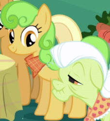 Size: 376x414 | Tagged: safe, screencap, apple cobbler, granny smith, perfect pie, earth pony, pony, friendship is magic, g4, apple family member, background character, background pony, cropped, female, mare, solo focus