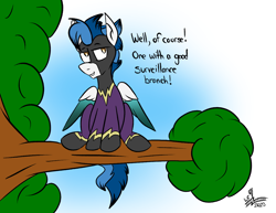 Size: 1210x935 | Tagged: safe, artist:whirlwindflux, oc, oc only, oc:whirlwind flux, pegasus, pony, in a tree, male, shadowbolts, solo, stallion, tree, tree branch