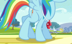 Size: 464x283 | Tagged: safe, screencap, rainbow dash, pony, g4, hurricane fluttershy, animated, coach rainbow dash, female, legs, mare, rainbow dashs coaching whistle, stretching, whistle, whistle necklace