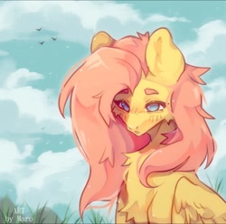 Size: 720x714 | Tagged: safe, artist:marok1mura, fluttershy, bird, pegasus, pony, g4, blushing, catchlights, cheek fluff, chest fluff, cloud, cloudy, ear fluff, female, folded wings, grass, mare, outdoors, shadow, sky, solo, three quarter view, wings