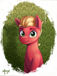 Size: 3000x4000 | Tagged: safe, artist:supermoix, sprout cloverleaf, earth pony, pony, g5, my little pony: a new generation, blonde, blonde hair, blonde mane, bust, cute, eyebrows, green background, green eyes, looking at you, male, patterned background, portrait, red coat, shadow, simple background, smiling, smiling at you, solo, sproutbetes, stallion