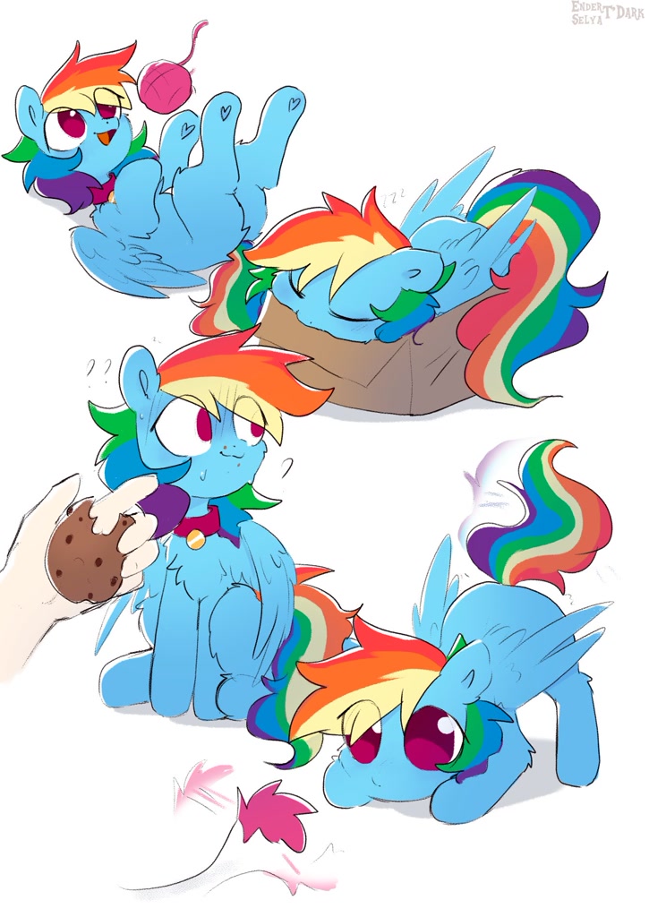 [box,chest fluff,collar,cookie,eyes closed,floppy ears,food,hand,happy,leaf,on back,pegasus,pony,pony in a box,pony pet,rainbow dash,safe,simple background,sleeping,tail,tail wag,white background,yarn,yarn ball,solo focus,behaving like a cat,disembodied hand,lying down,rainbow cat,eye clipping through hair,smiling,if i fits i sits,artist:enderselyatdark]