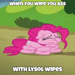 Size: 720x720 | Tagged: safe, edit, edited screencap, screencap, pinkie pie, earth pony, pony, g4, rock solid friendship, caption, cropped, deflated, deflation, dialogue, female, image macro, lysol, solo, text