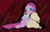 Size: 1204x762 | Tagged: safe, artist:defg7373, madame leflour, mr. turnip, pinkie pie, rocky, sir lintsalot, earth pony, pony, g4, female, pinkamena diane pie