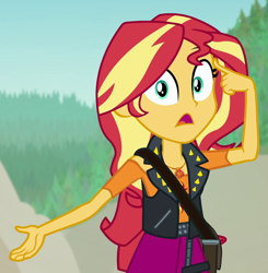 Size: 1058x1080 | Tagged: safe, screencap, sunset shimmer, human, equestria girls, equestria girls specials, g4, my little pony equestria girls: better together, my little pony equestria girls: forgotten friendship, cropped, solo