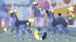 Size: 1280x708 | Tagged: safe, artist:malinraf1615, star tracker, pony, g4, reference sheet