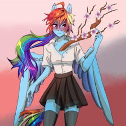 Size: 4000x4000 | Tagged: safe, artist:twivela, rainbow dash, pegasus, anthro, g4, blushing, cherry blossoms, clothes, female, flower, flower blossom, looking at you, mare, school uniform, shirt, skirt, socks, solo, thigh highs, tree branch