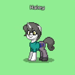 Size: 835x829 | Tagged: safe, oc, oc only, oc:haley, pony, unicorn, pony town, clothes, green background, shirt, simple background, solo