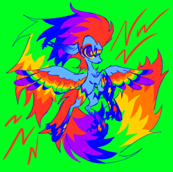 Size: 1280x1277 | Tagged: safe, artist:webkinzworldz, rainbow dash, pegasus, pony, g4, chest fluff, colored sclera, colored wings, eyestrain warning, gradient ears, gradient legs, green background, multicolored wings, needs more saturation, purple eyes, rainbow power, rainbow wings, shaped eyebrows, simple background, solo, wings