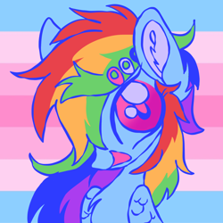 Size: 1280x1280 | Tagged: safe, artist:webkinzworldz, rainbow dash, pegasus, pony, g4, chest fluff, ear fluff, female, folded wings, gender headcanon, hairclip, icon, looking at you, magenta eyes, pride, pride flag, solo, trans female, trans rainbow dash, transfeminine, transfeminine pride flag, transgender, transgender pride flag, wings