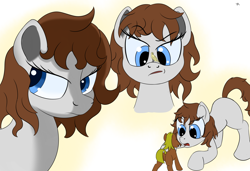 Size: 1750x1200 | Tagged: safe, pony, blue eyes, brown hair, simple background, white background