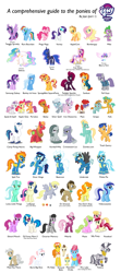 Size: 3000x6750 | Tagged: safe, artist:jaye, apple bloom, applejack, babs seed, berry punch, berryshine, big macintosh, bon bon, carrot cake, carrot top, cheerilee, cup cake, daisy, derpy hooves, diamond tiara, dj pon-3, doctor whooves, flash sentry, fleetfoot, flower wishes, fluttershy, golden harvest, lily, lily valley, limestone pie, lyra heartstrings, marble pie, maud pie, mayor mare, minuette, misty fly, nurse redheart, octavia melody, pinkie pie, pound cake, princess cadance, princess celestia, princess flurry heart, princess luna, pumpkin cake, rainbow dash, rarity, roseluck, scootaloo, shining armor, silver spoon, snails, snips, soarin', spike, spitfire, starlight glimmer, sunburst, sunset shimmer, sweetie belle, sweetie drops, tempest shadow, thunderlane, time turner, trixie, twilight sparkle, twist, vinyl scratch, zecora, zephyr breeze, alicorn, dragon, earth pony, pegasus, pony, unicorn, zebra, g4, female, male, mare, meme, simple background, stallion, twilight sparkle (alicorn), wall of tags, white background, wrong
