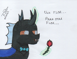 Size: 815x620 | Tagged: safe, artist:alejandrogmj, artist:wasisi, oc, oc:wasisi, changeling, bowtie, changeling oc, flower, simple background, spanish, traditional art, translated in the comments, white background