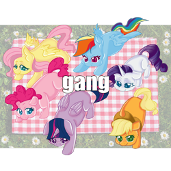 Size: 2000x2000 | Tagged: safe, artist:dankpegasista, derpibooru exclusive, applejack, fluttershy, pinkie pie, rainbow dash, rarity, twilight sparkle, alicorn, earth pony, pegasus, pony, unicorn, g4, applejack's hat, blue eyes, blue fur, blue wings, caption, chibi, colored eyelashes, colored pupils, cowboy hat, curly mane, cute, dashabetes, eyelashes, floppy ears, flower, flying, folded wings, gang, grass, green eyes, happy, hat, heart, heart eyes, high res, highlights, image macro, impact font, jackabetes, looking at you, mane six, meme, orange fur, picnic blanket, pink eyes, pink fur, png, purple eyes, purple fur, purple wings, raribetes, shiny eyes, shyabetes, simple background, simple shading, small wings, smiling, spread wings, text, transparent background, turquoise eyes, twiabetes, twilight sparkle (alicorn), white fur, wingding eyes, wings, yellow fur, yellow wings