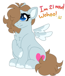 Size: 4620x5410 | Tagged: safe, artist:crazysketch101, oc, oc only, pegasus, pony, chest fluff, self insert, simple background, sitting, solo, transparent background