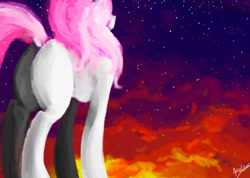 Size: 2100x1495 | Tagged: safe, artist:minckies, princess celestia, pony, unicorn, g4, butt, night, outdoors, pink-mane celestia, plot, signature, solo, stars, young celestia