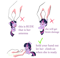 Size: 979x950 | Tagged: safe, artist:ripteeth, twilight sparkle, human, pony, unicorn, g4, :o, angry, check mark, chibi, cute, disembodied hand, floppy ears, funny, hand, holding a pony, how to handle a pony, meme, micro, open mouth, simple background, smol, solo focus, text, tiny, tiny ponies, twiabetes, unicorn twilight, white background