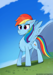 Size: 2480x3508 | Tagged: safe, artist:tempestshine, rainbow dash, pegasus, pony, g4, female, high res, solo