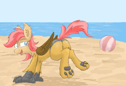 Size: 1933x1318 | Tagged: safe, artist:pzkratzer, oc, oc only, oc:ponygriff, hippogriff, ball, beach, beach ball, butt, clothes, continued in the comments, flockmod, hippogriff oc, male, paw pads, paws, plot, solo, stupid sexy, swimming trunks, swimsuit, underpaw