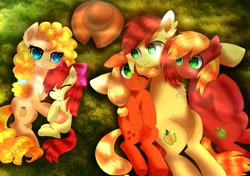 Size: 1521x1068 | Tagged: safe, artist:jaanhavi, apple bloom, applejack, big macintosh, bright mac, pear butter, earth pony, pony, g4, family, female, filly, foal, male, mare, overhead view, stallion