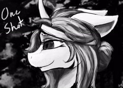 Size: 2100x1500 | Tagged: safe, artist:minckies, oc, oc only, pony, unicorn, bust, female, horn, mare, signature, smiling, solo, unicorn oc