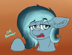 Size: 2055x1573 | Tagged: safe, artist:reddthebat, oc, oc only, oc:alaska (reddthebat), ghost, ghost pony, pegasus, pony, dialogue, ear fluff, female, floppy ears, gradient background, mare, ok boomer, solo, sternocleidomastoid, talking to viewer, unamused