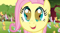 Size: 1920x1080 | Tagged: safe, screencap, fluttershy, butterfly, pegasus, pony, g4, season 1, the cutie mark chronicles, 1080p, close-up, cute, eye reflection, female, filly, filly fluttershy, foal, happy, open mouth, reflection, shyabetes, solo, tree, younger