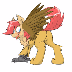 Size: 4000x4000 | Tagged: safe, artist:pzkratzer, oc, oc only, oc:ponygriff, ponygriff, blushing, butt, cute, featureless crotch, flockmod, looking back, open mouth, plot, simple background, solo, spread wings, white background, wings