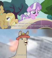 Size: 2000x2249 | Tagged: safe, edit, edited screencap, screencap, cherry cola, cherry fizzy, diamond tiara, noi, earth pony, llama, pony, crusaders of the lost mark, g4, bridge, caption, comic, cruise ship, female, filly, fire, floppy ears, flower, foal, hat, high res, image macro, llamas with hats, male, paul, sad, screencap comic, smoke, stallion, text, the pony i want to be, tree