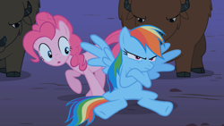 Size: 1280x720 | Tagged: safe, screencap, pinkie pie, rainbow dash, bison, buffalo, earth pony, pegasus, pony, g4, over a barrel, season 1, angry, crossed hooves, female, frown, group, grumpy, mare, open mouth, pouting, quartet, rainbow dash is not amused, raised hoof, shadow, sitting, spread wings, unamused, unnamed buffalo, unnamed character, wings