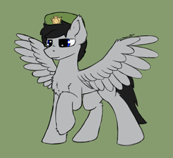 Size: 1797x1648 | Tagged: safe, artist:monycaalot, oc, oc only, oc:cuti cuti, pegasus, pony, colored sketch, gift art, green background, male, simple background, soldier, solo, spread wings, wings