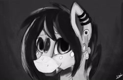 Size: 2936x1917 | Tagged: safe, artist:minckies, oc, oc only, earth pony, pony, bust, ear piercing, earring, earth pony oc, jewelry, piercing, signature, smiling, solo