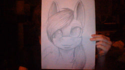 Size: 1280x720 | Tagged: safe, artist:minckies, derpy hooves, pegasus, pony, g4, bust, female, mare, solo, traditional art