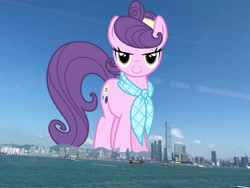 Size: 1440x1080 | Tagged: safe, anonymous editor, artist:cheezedoodle96, edit, suri polomare, earth pony, pony, g4, clothes, female, giant pony, giantess, highrise ponies, hong kong, irl, looking at you, macro, mare, photo, ponies in real life, scarf, smiling, solo