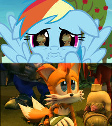 Size: 1920x2160 | Tagged: safe, edit, edited screencap, screencap, applejack, rainbow dash, earth pony, pegasus, pony, g4, grannies gone wild, anime eyes, applejack is not amused, ashleigh ball, cute, daaaaaaaaaaaw, dashabetes, eye reflection, floppy ears, male, mangey tails, miles "tails" prower, puppy dog eyes, reflection, sonic prime, sonic the hedgehog (series), unamused, voice actor joke, wavy mouth