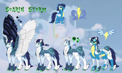 Size: 1280x761 | Tagged: safe, artist:malinraf1615, soarin', pony, g4, clothes, colored wings, multicolored wings, quadrupedal, reference sheet, solo, tail, tail feathers, uniform, wings, wonderbolts uniform