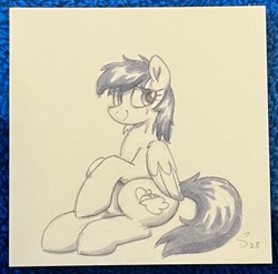 Size: 2048x2026 | Tagged: safe, artist:selenophile, oc, oc only, pegasus, pony, high res, sketch, solo, traditional art