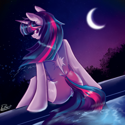Size: 2000x2000 | Tagged: safe, artist:dankpegasista, derpibooru exclusive, twilight sparkle, pony, unicorn, semi-anthro, g4, angle, arm hooves, bangs, blurry background, bush, butt, clothes, crescent moon, detailed, digital art, dripping, ear fluff, eyelashes, female, flowing mane, full color, happy, heart, heart eyes, high res, highlights, krita, lineart, long eyelashes, long tail, looking at you, looking back, mare, messy mane, moon, one-piece swimsuit, plot, png, purple background, purple eyes, purple hair, rear view, scenery, shading, shiny mane, shiny skin, signature, sitting, smiling, smiling at you, solo, splashing, starry night, stars, swimming pool, swimsuit, tail, turning, upright, water, water droplet, wet, wet clothes, wet hair, wet mane, wingding eyes