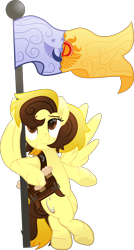 Size: 4265x7978 | Tagged: safe, artist:php178, derpibooru exclusive, part of a set, oc, oc only, oc:countess sweet bun, pegasus, pony, a horse shoe-in, g4, my little pony: rainbow roadtrip, .svg available, 2023, absurd resolution, april fools, april fools 2023, bag, bags under eyes, belly button, belt buckle, bipedal, bipedal leaning, brown eyes, brown mane, cinnamon bun, colored pupils, commission, cookie, crescent, crossed legs, curly mane, curly tail, eye scar, facial scar, female, flag, flag pole, flag waving, flagpole, food, hair bun, hoof heart, hug, inkscape, leaning, lidded eyes, logo, looking up, mare, movie accurate, new lunar republic, older, pegasus oc, satchel, scar, simple background, smiling, solar empire, solo, spread wings, standing, standing on two hooves, stitches, straight hair, straight mane, strap, svg, tail, tail bun, tired, transparent background, two toned mane, two toned tail, underhoof, vector, wing hands, wing hold, winghug, wings, yellow eyes, yellow mane