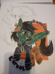 Size: 4000x3000 | Tagged: safe, artist:annuthecatgirl, oc, oc only, oc:remixed cereal, pegasus, pony, badge, photo, solo, traditional art, wip