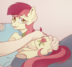 Size: 1641x1528 | Tagged: safe, artist:miss_glowwormis, roseluck, earth pony, human, pony, g4, behaving like a cat, collar, commission, commissioner:doom9454, cute, human on pony petting, petting, pony pet, rosepet