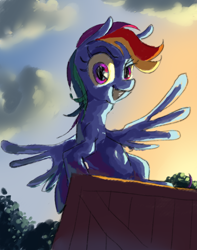 Size: 1500x1900 | Tagged: safe, artist:saltycube, rainbow dash, pegasus, pony, g4, box, cloud, looking at you, sitting, sky, smiling, solo, spread wings, sunset, tree, wings