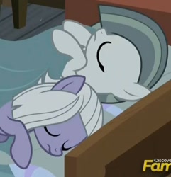 Size: 684x710 | Tagged: safe, screencap, limestone pie, marble pie, earth pony, pony, g4, bed, cute, discovery family, discovery family logo, eyes closed, female, limabetes, logo, marblebetes, siblings, sisters, sleeping