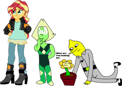 Size: 1934x1360 | Tagged: safe, artist:mrtheamazingdude, sunset shimmer, gem (race), human, equestria girls, g4, adventure time, crossover, female, flowey, gem, group, lemongrab, male, peridot, peridot (steven universe), quartet, steven universe, undertale