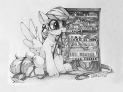 Size: 1920x1440 | Tagged: safe, artist:share dast, edit, oc, oc only, oc:summer ray, pegasus, pony, not rainbow dash, server, solo, traditional art, wires
