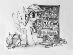 Size: 1920x1440 | Tagged: safe, artist:share dast, edit, oc, oc only, oc:summer ray, pegasus, pony, black and white, grayscale, monochrome, not rainbow dash, server, solo, traditional art, wires